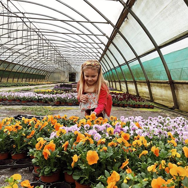 Der er status både på min medicin og på haven i mandagens indlæg :-) håber I har lyst til at kigge forbi de mange farver og spæde spiringer 🌱🌼🌸.
.
➡️www.mortilmernee.dk #linkinbio👆 #mortilmernee